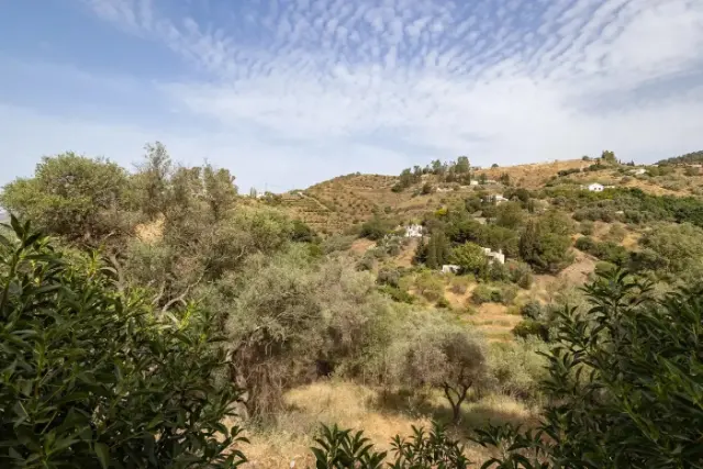 Villa Bárbara — foto 2